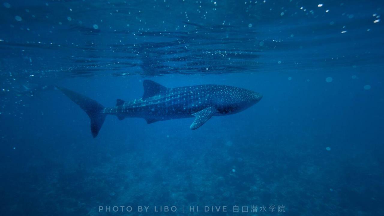 Ithaa Dhigurah Maldives 디구라 외부 사진