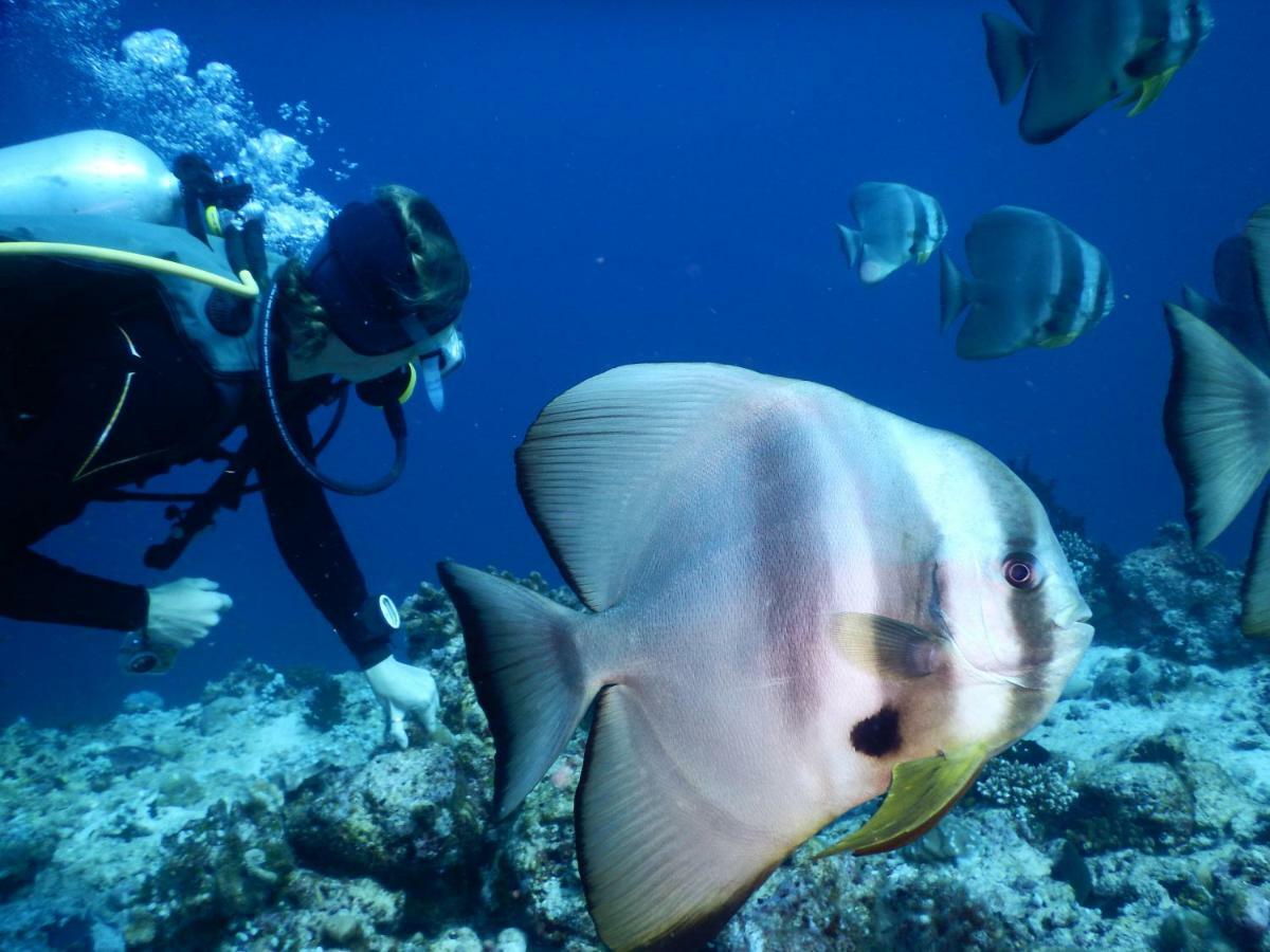 Ithaa Dhigurah Maldives 디구라 외부 사진