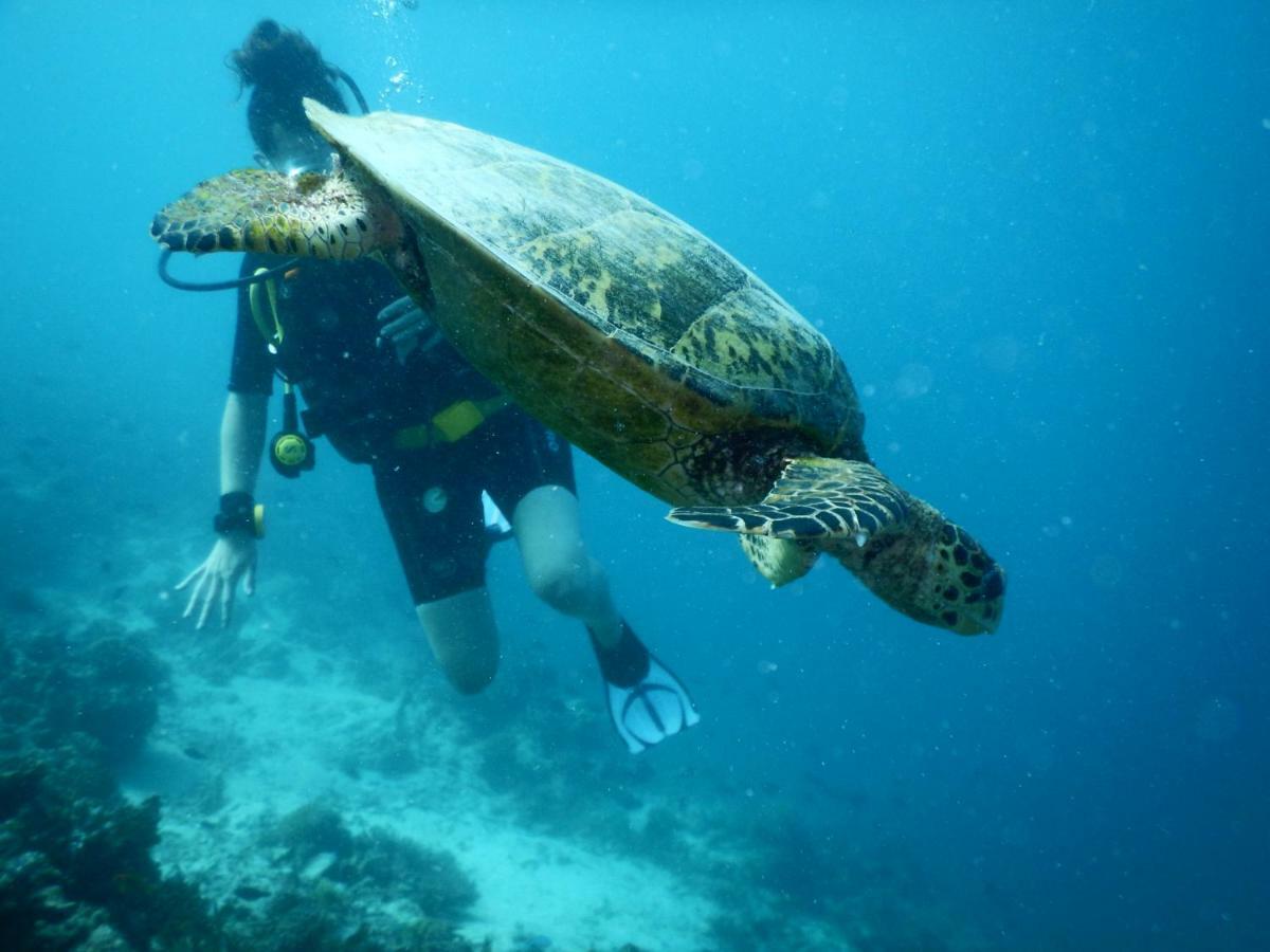 Ithaa Dhigurah Maldives 디구라 외부 사진
